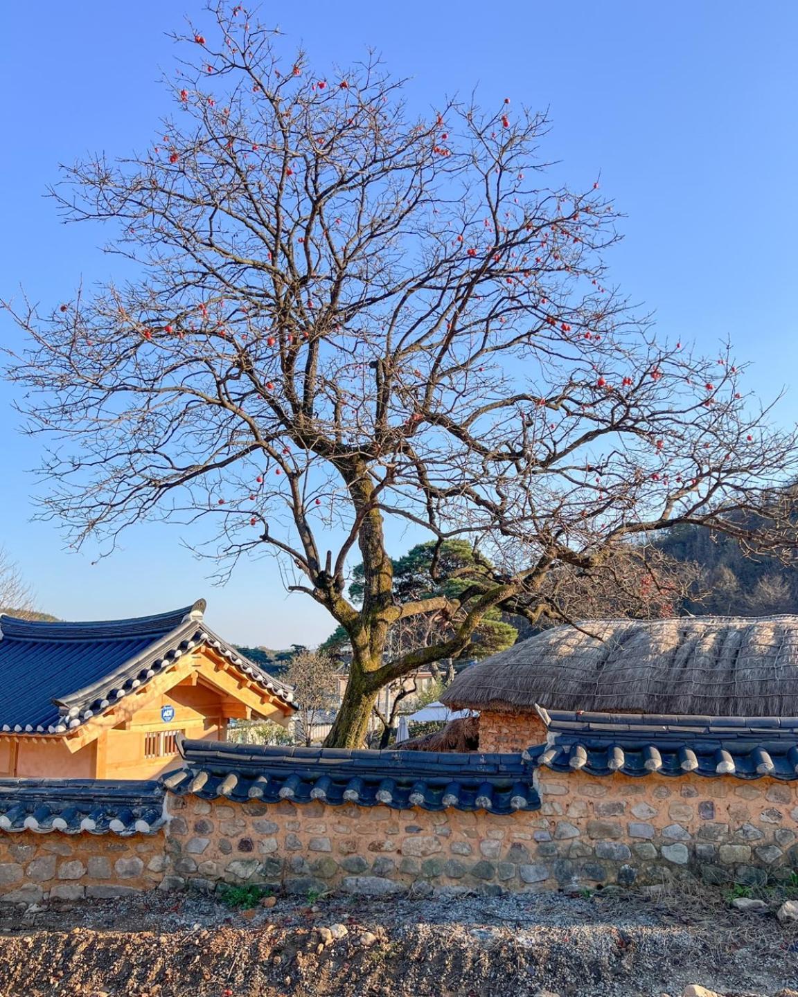 Jukheon Traditional House Andong Kültér fotó